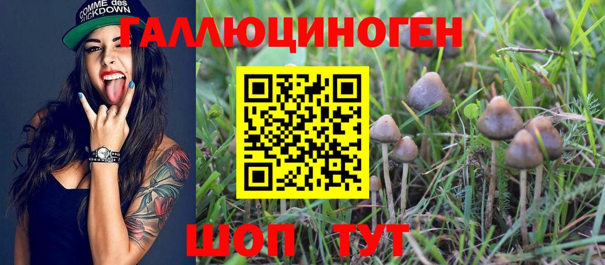Псилоцибиновые грибы Cubensis  Вход с VPN  закладка  Кизляр 
