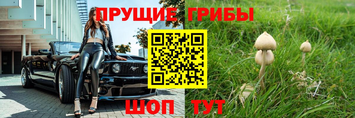 Галлюциногенные грибы ЛСД Кизляр